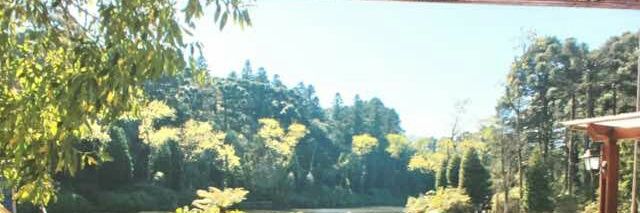 Whalicson's profile banner image
