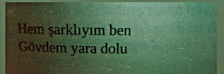SedaFilizli's profile banner image