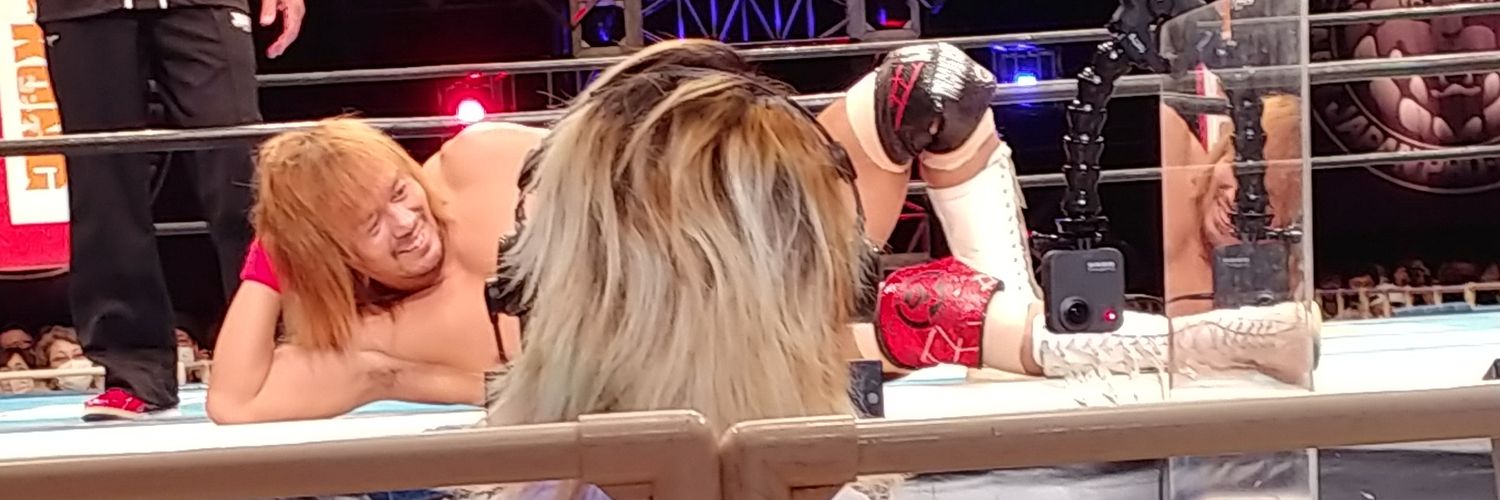 96pineko's profile banner image