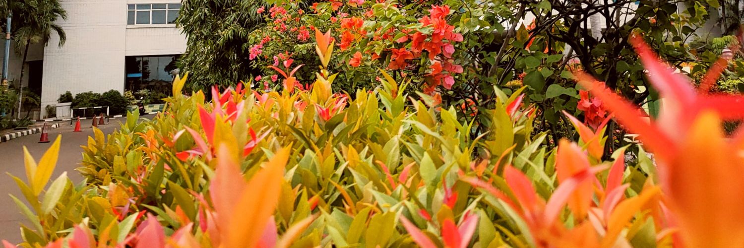 ingrid_yoan's profile banner image