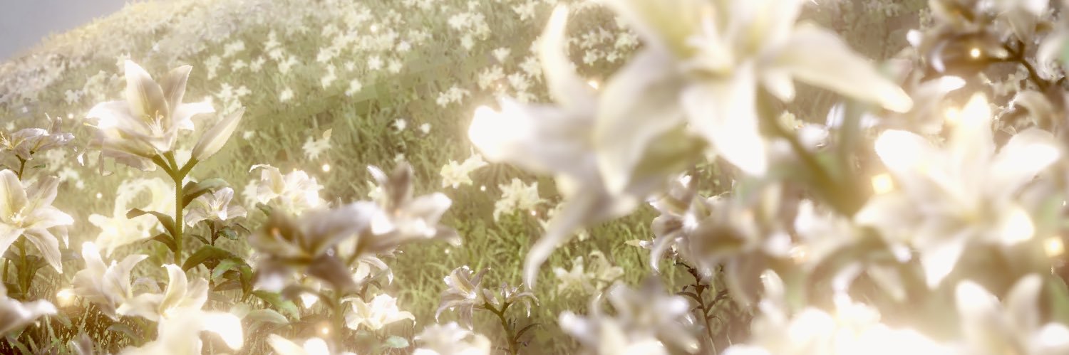 ✶⋆.˚ mindani ˚.⋆✶ banner