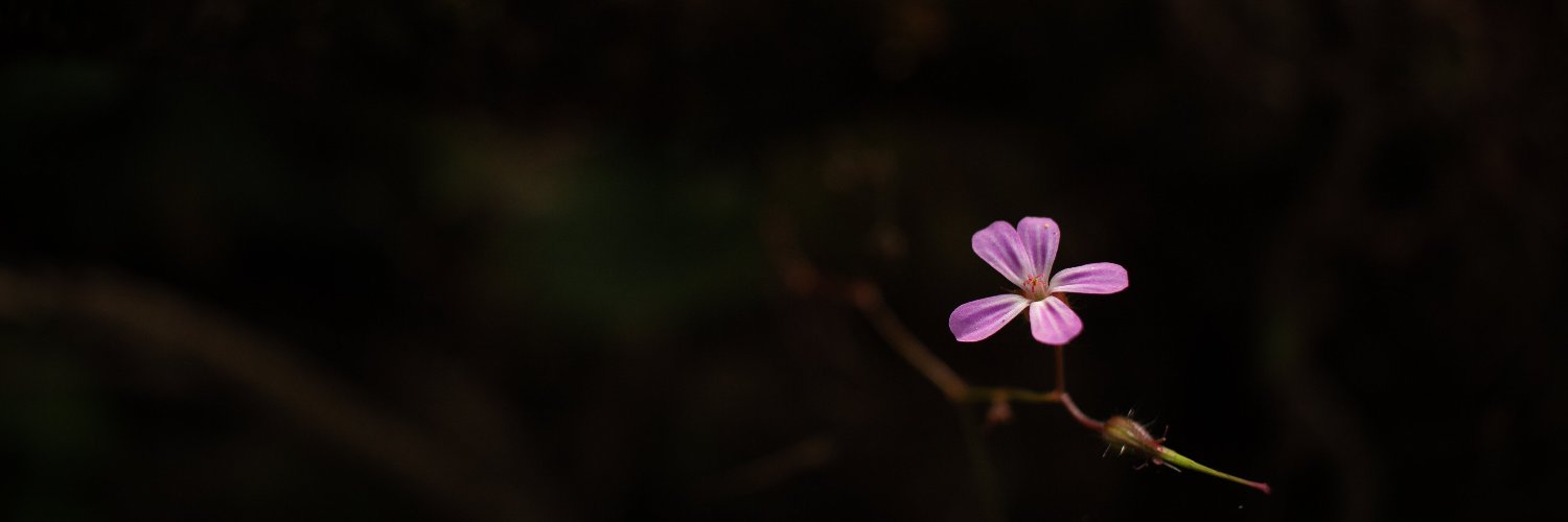 MediaYourWay's profile banner image