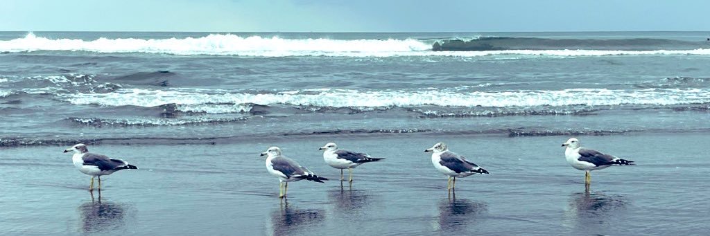 keiii_co's profile banner image