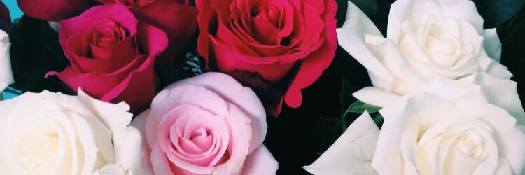 paige8997's profile banner image