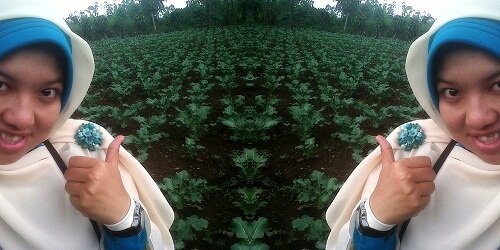 deaRachma's profile banner image