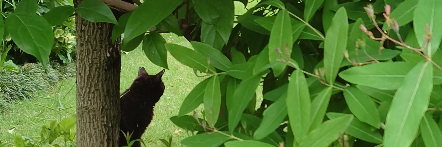 boubun's profile banner image
