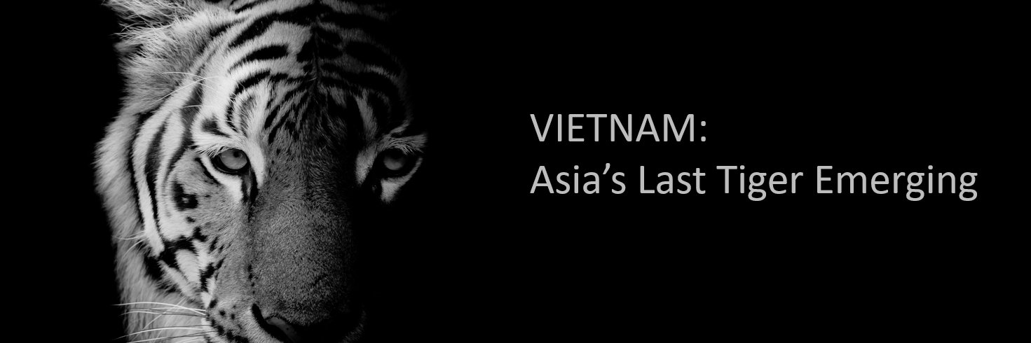 PXPVietnam's profile banner image