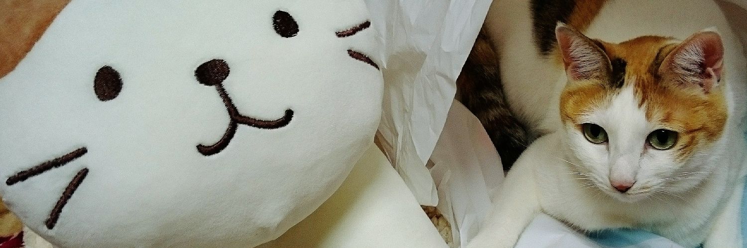 vanikoi's profile banner image
