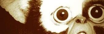 la_caroE's profile banner image