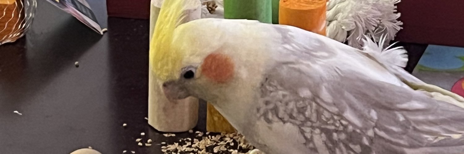 Drexel Splatoon 🦑🐉🐙 banner