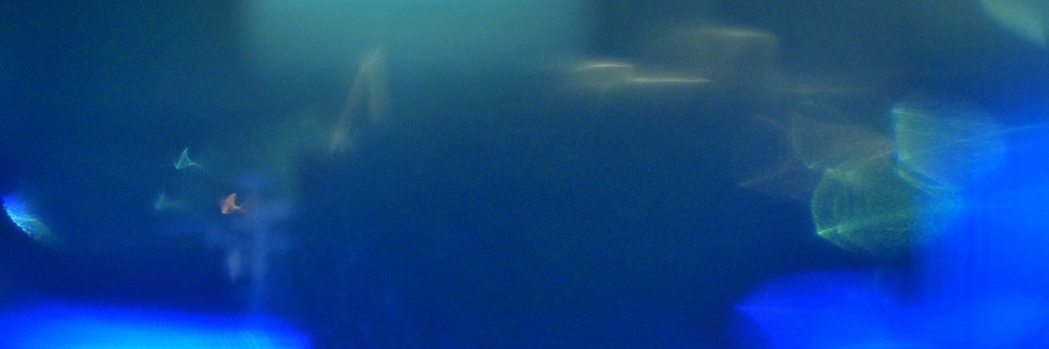 hitsujiringo's profile banner image