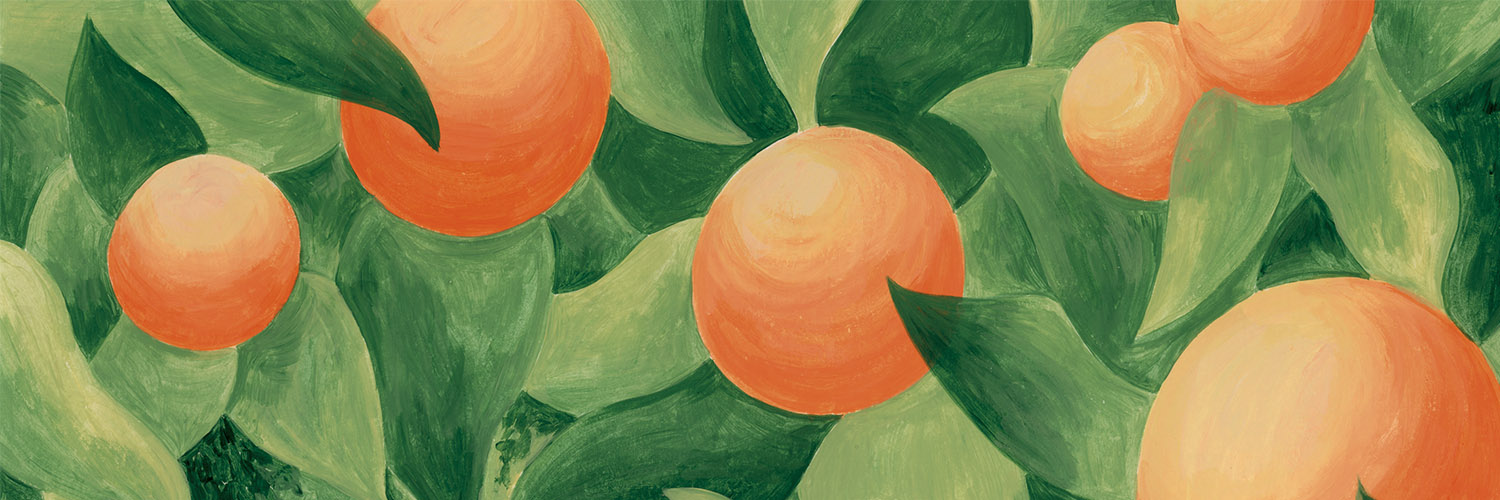Cactus banner