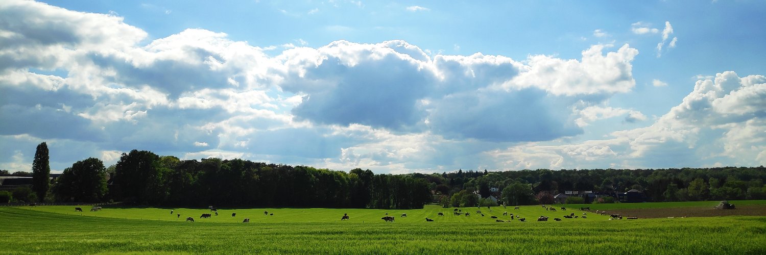 thomaux's profile banner image