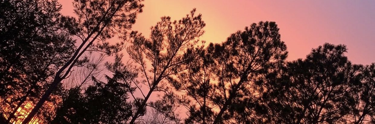 Dakota Connell banner