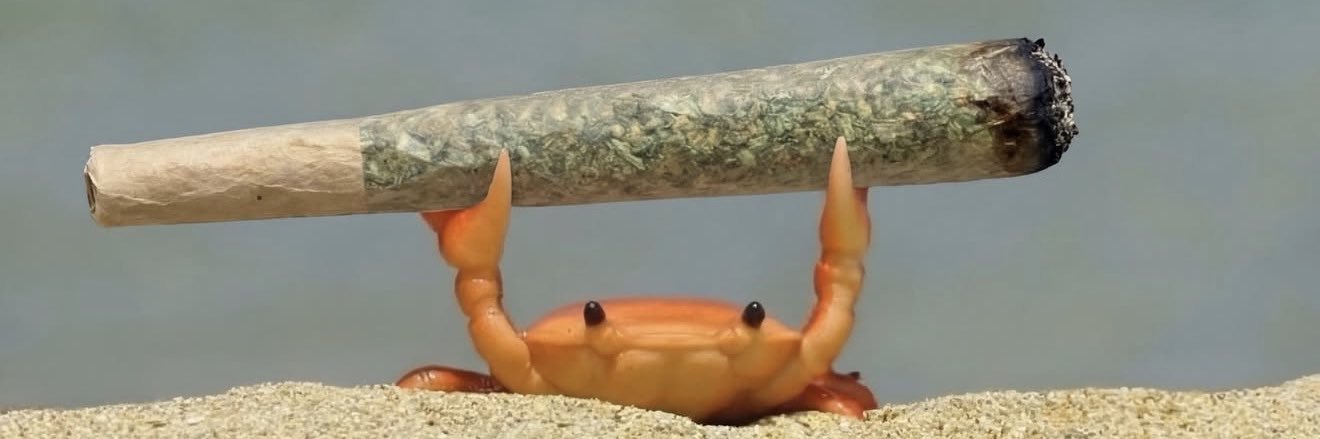 WhyldWeasel's profile banner image