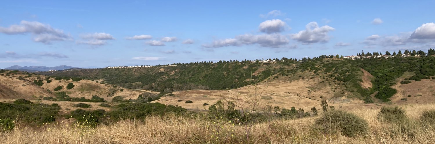 Michael A. Taffe banner