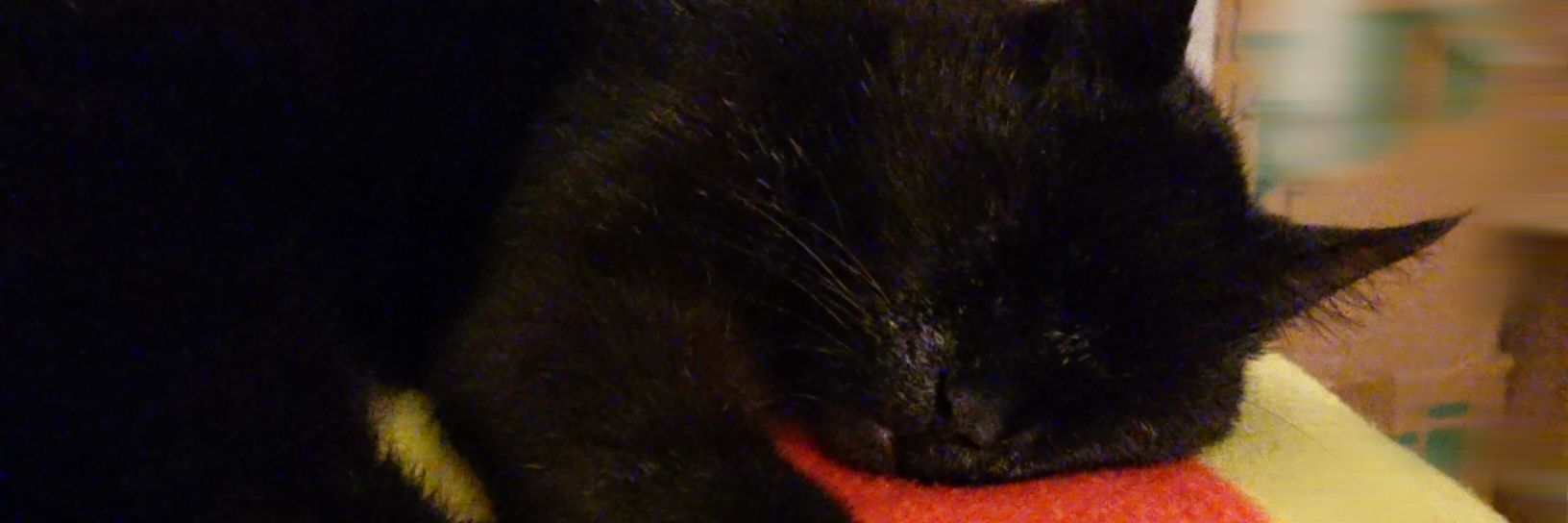 Moquetes i catifes Francesc - Sant Esteve d Roures banner