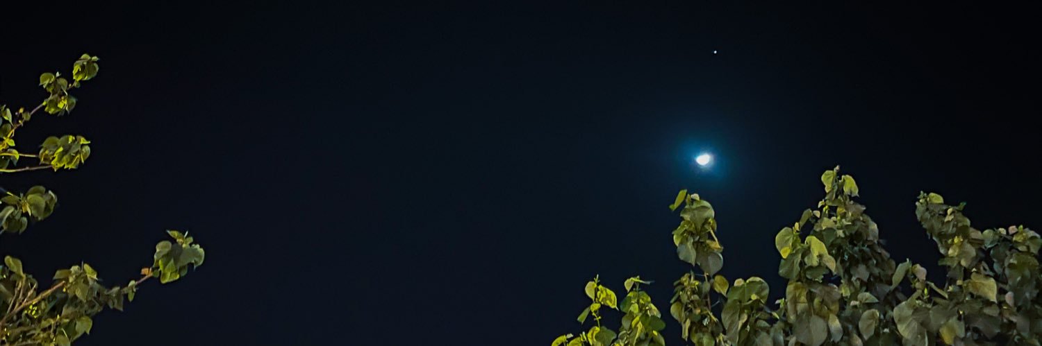 roaaful's profile banner image