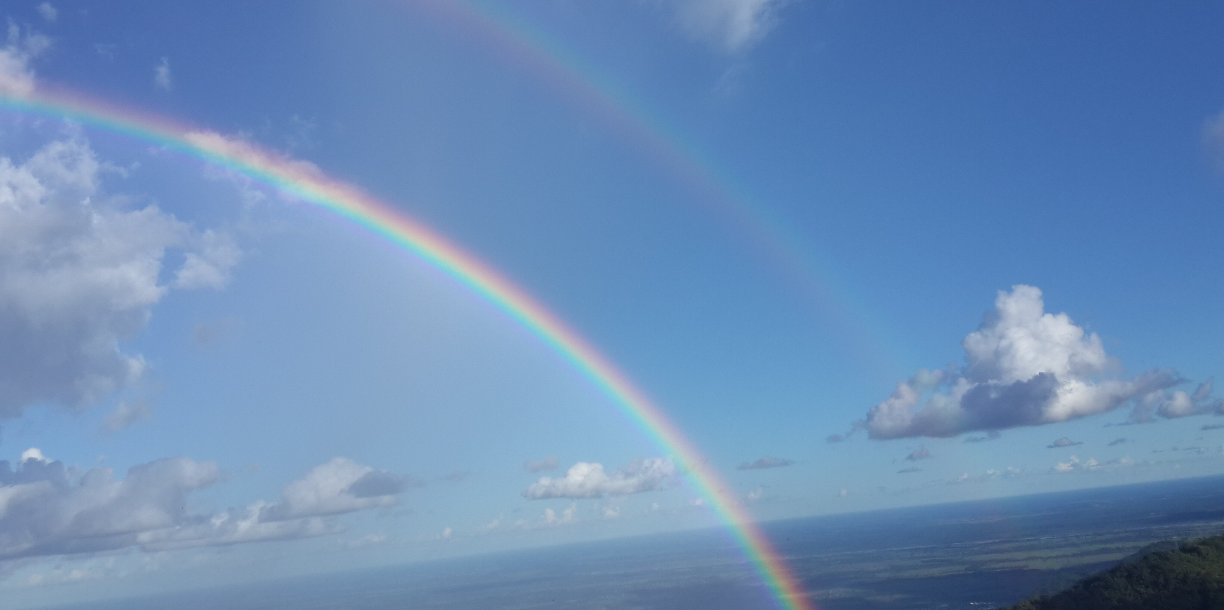 lucyqbides's profile banner image