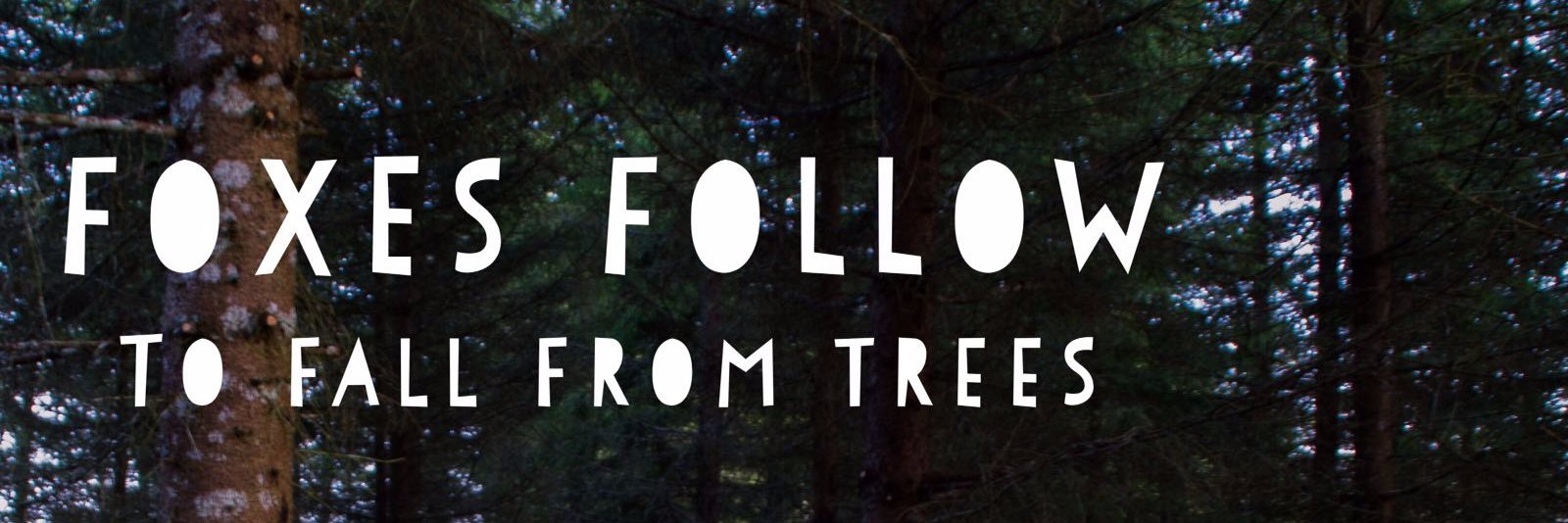 follow_foxes's profile banner image
