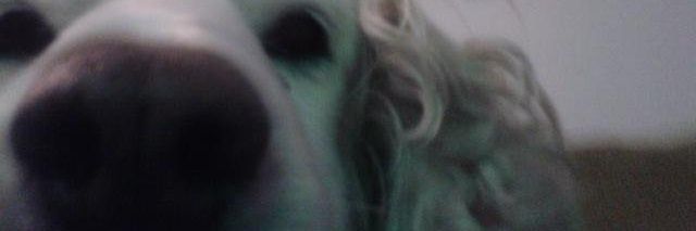 susyluh's profile banner image