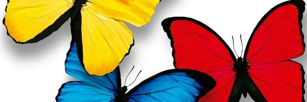anjimenez422's profile banner image