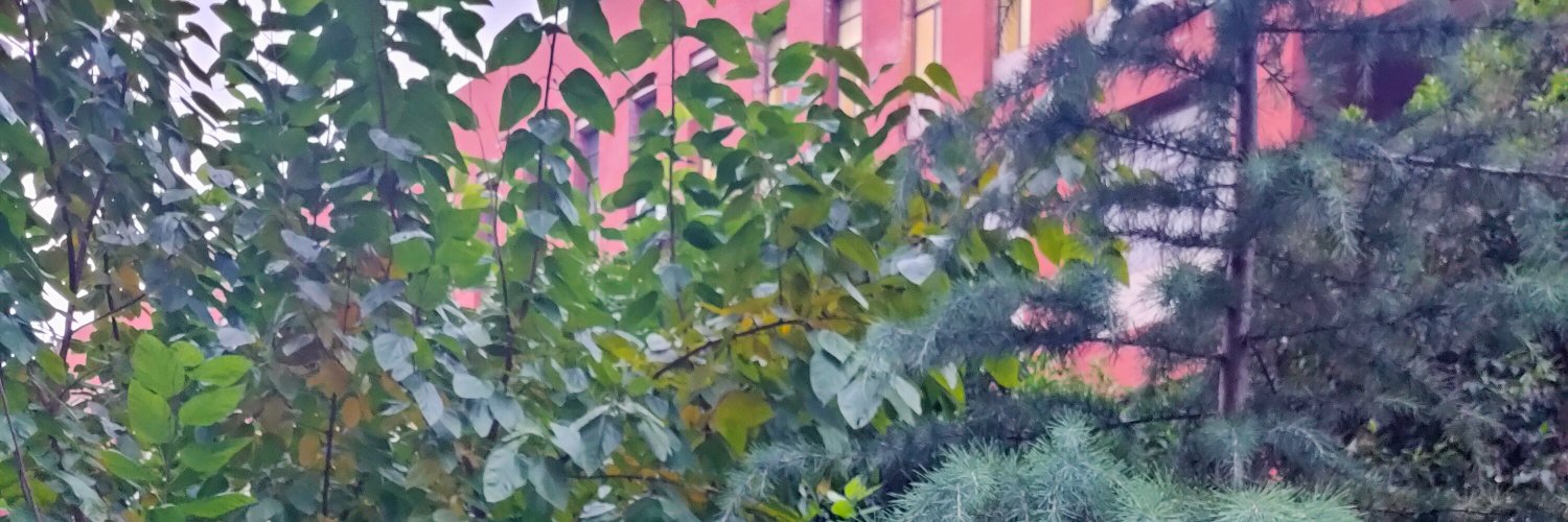 你最好快一点 banner