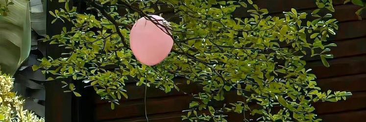 parietal_lob's profile banner image