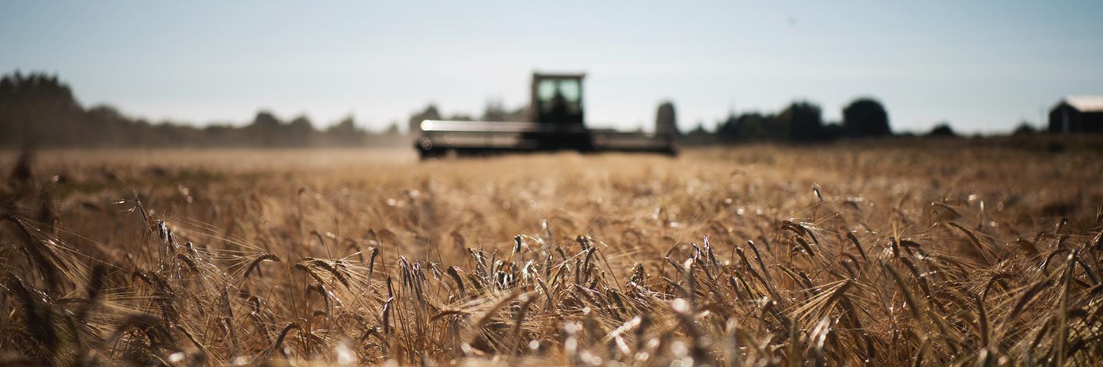 Barnside Brewing Co. banner
