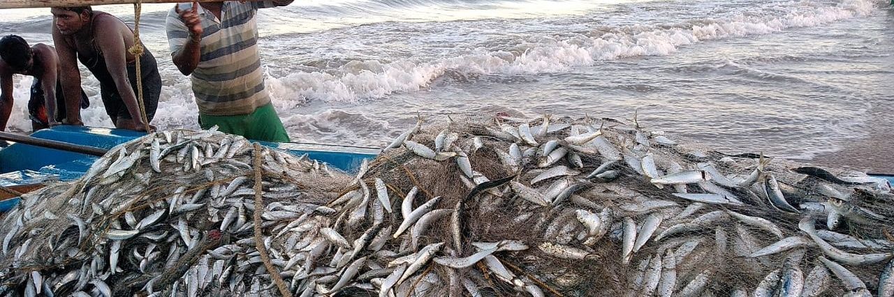 Amar Leo Ghaley banner