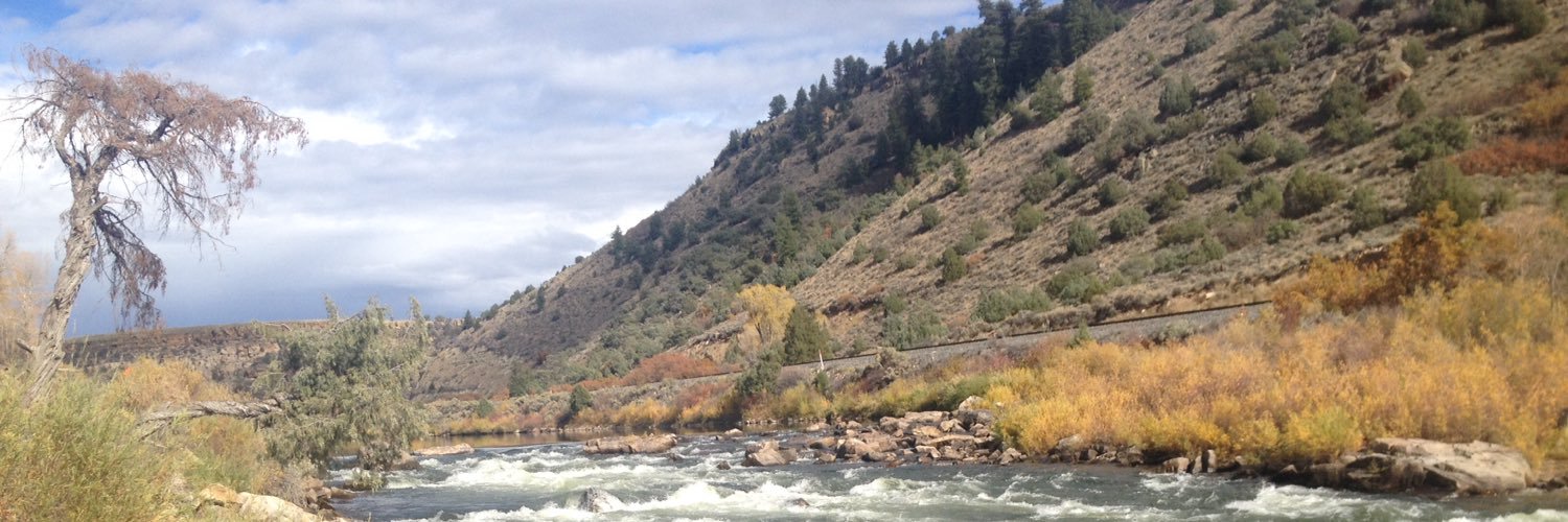 Watty Strickland banner