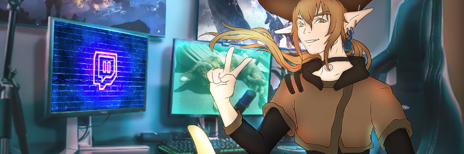 Risenn banner