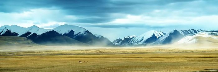 insttrader's profile banner image