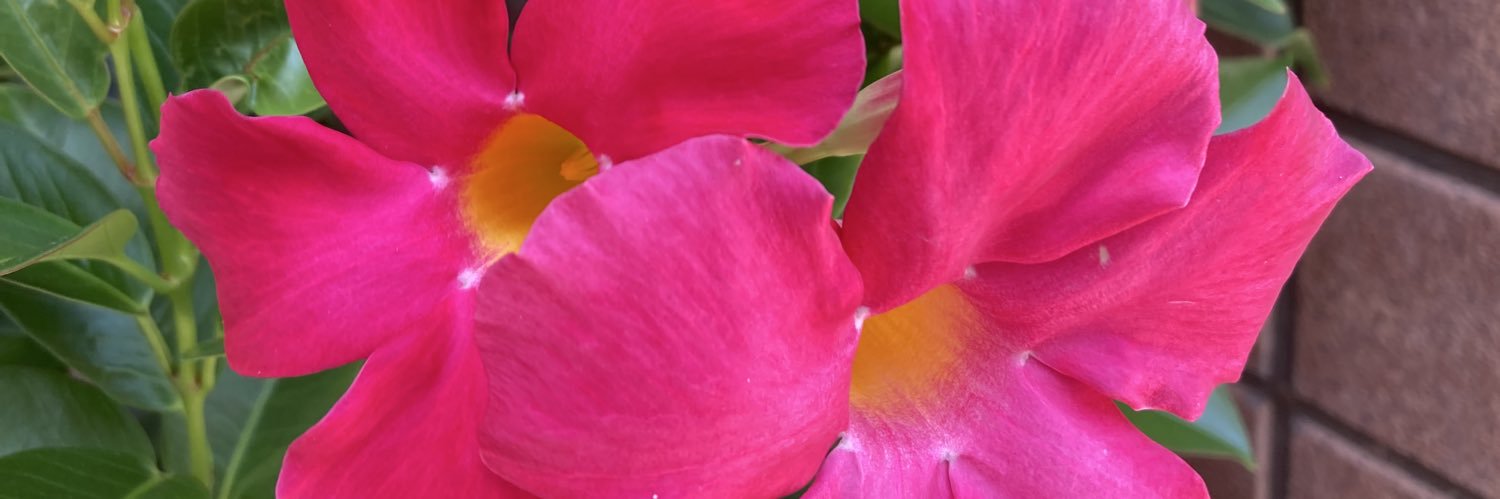 getsstuckin's profile banner image