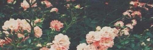 CharissxS's profile banner image