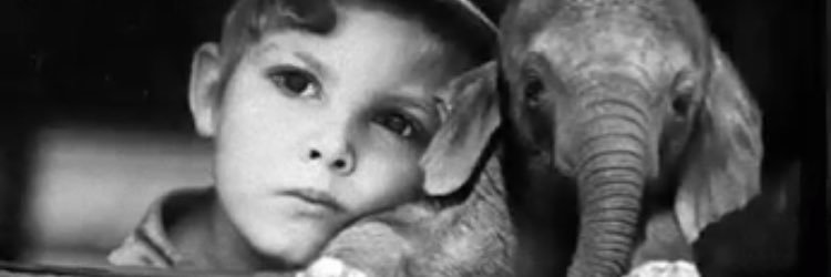 ordz2323's profile banner image
