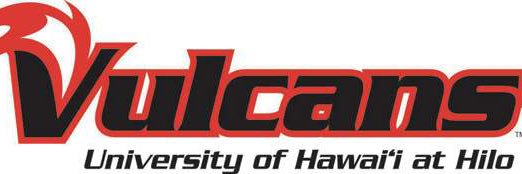 Hawaii Hilo Baseball banner