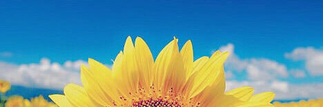 msk_2623's profile banner image