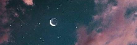 w. banner