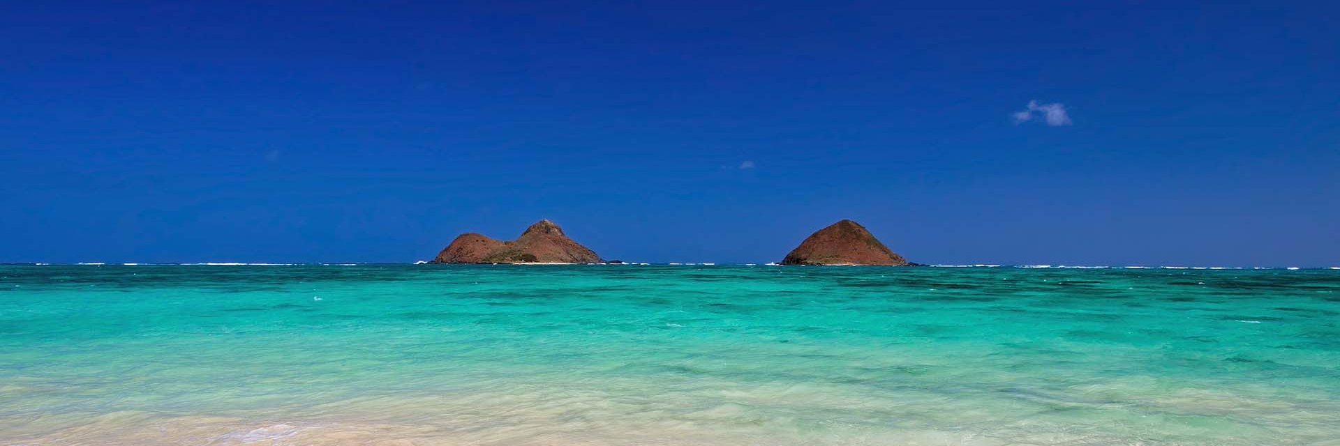 Prof_Aloha's profile banner image