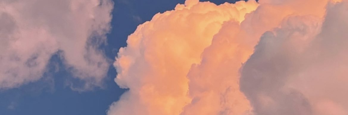 Rin banner