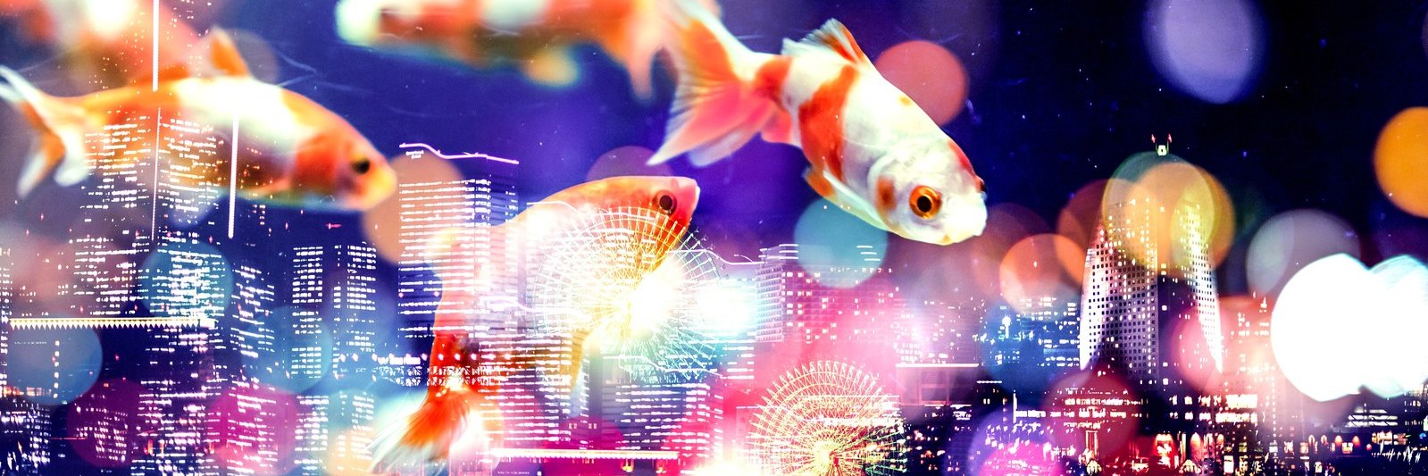 寧音子⭐️ banner