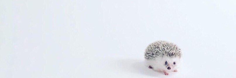 pondposema's profile banner image