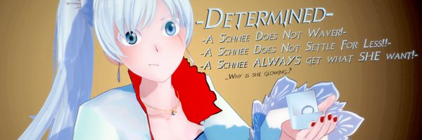 SchneeDoTTy Profile Banner