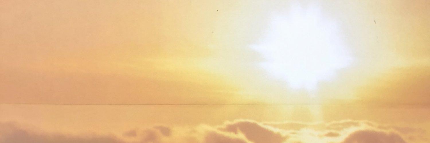Lauren banner