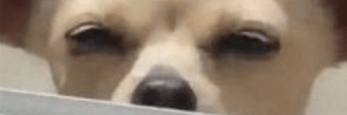 divinegremlin_'s profile banner image