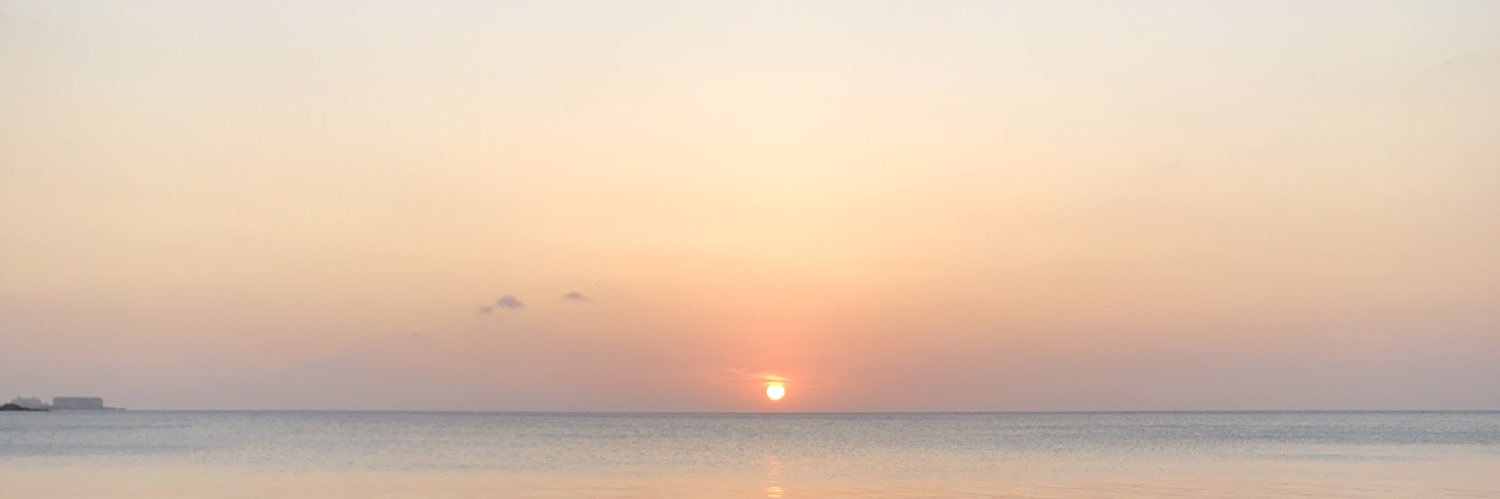 1118_rin's profile banner image