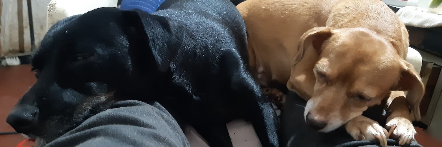 WILLIAN FOXᅠᅠᅠᅠᅠᅠᅠᅠᅠᅠᅠᅠᅠᅠᅠᅠᅠᅠᅠᅠᅠᅠᅠᅠᅠᅠᅠᅠᅠᅠᅠᅠᅠᅠᅠᅠᅠᅠ banner