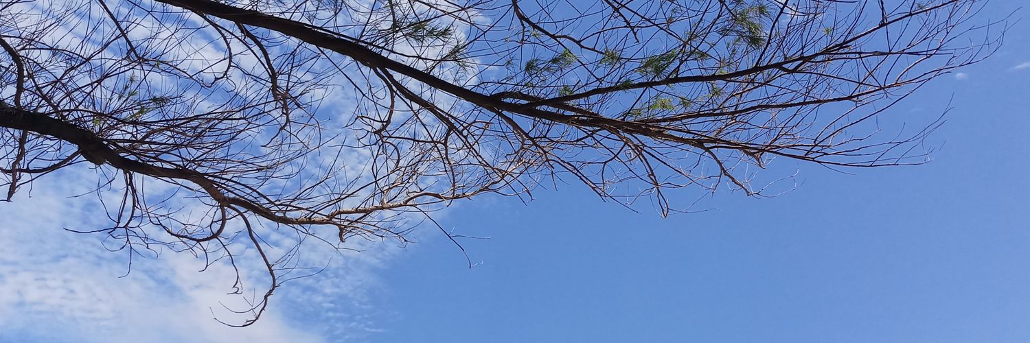 ririnsandy's profile banner image