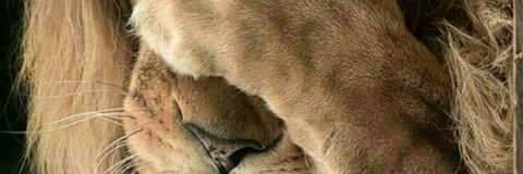 KSA12312A's profile banner image